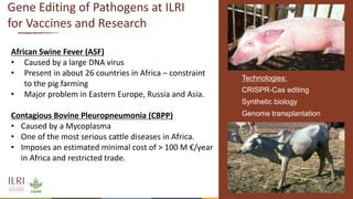Gene editing in veterinary vaccine development: Status of the science