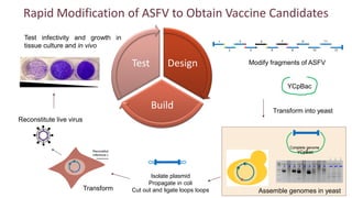 Gene editing in veterinary vaccine development: Status of the science