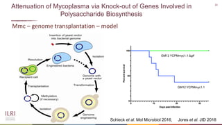 Gene editing in veterinary vaccine development: Status of the science