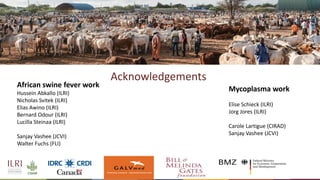 Gene editing in veterinary vaccine development: Status of the science