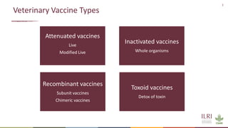 Gene editing in veterinary vaccine development: Status of the science