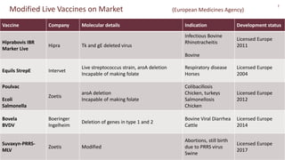 Gene editing in veterinary vaccine development: Status of the science