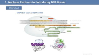 Gene Editing ZFN, TALEN, and CRISPRCas9.pdf