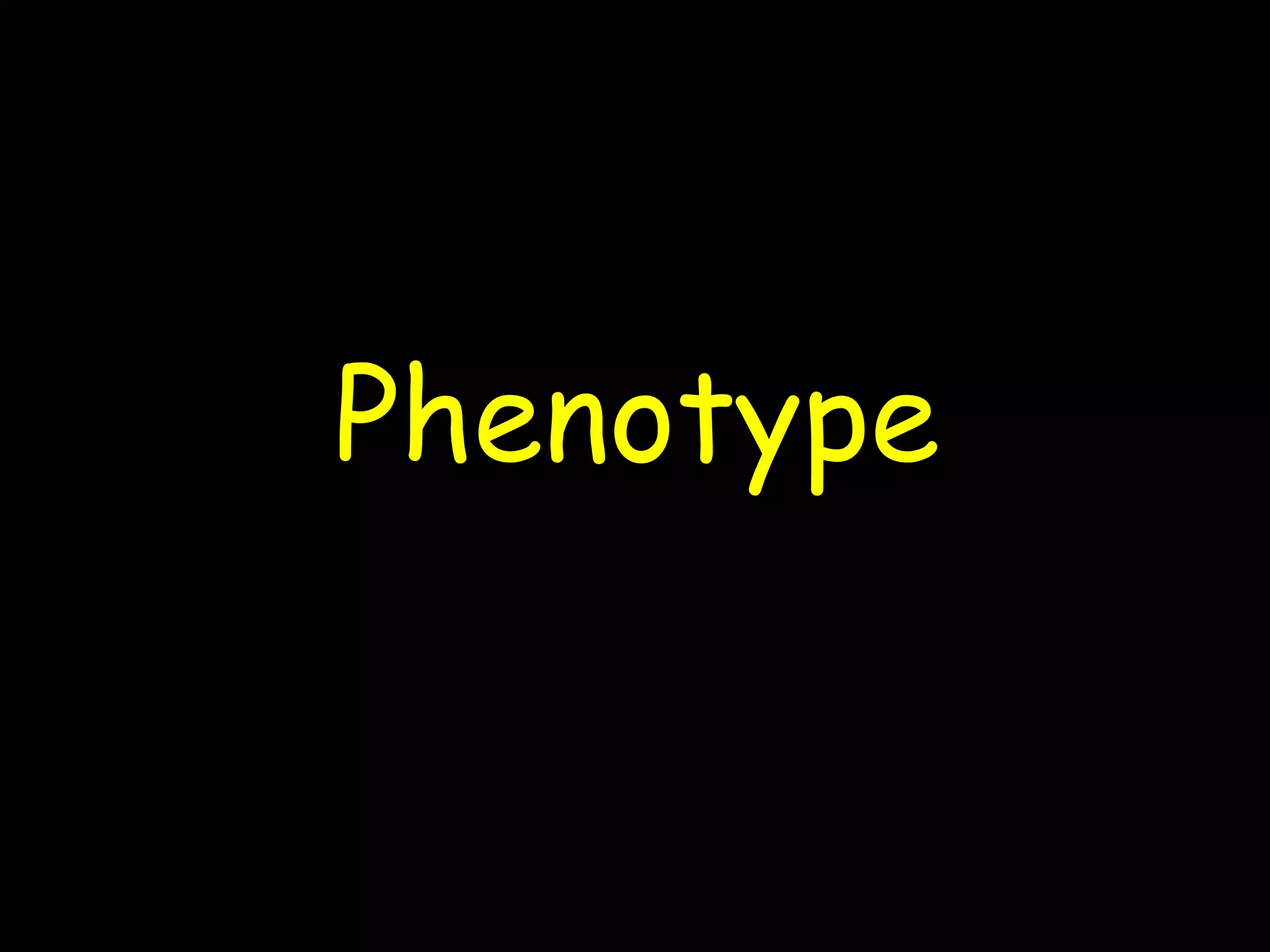Phenotype
 