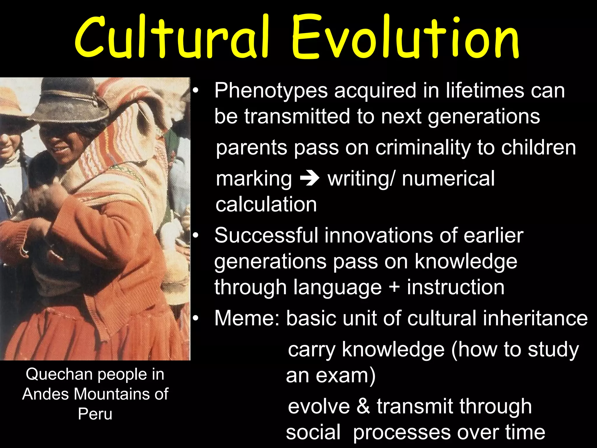 Cultural Evolution
• Phenotypes acquired in lifetimes can
be transmitted to next generations
parents pass on criminality to children
marking  writing/ numerical
calculation
• Successful innovations of earlier
generations pass on knowledge
through language + instruction
• Meme: basic unit of cultural inheritance
carry knowledge (how to study
an exam)
evolve & transmit through
social processes over time
Quechan people in
Andes Mountains of
Peru
 