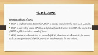 Trna Single Stranded Gene Expression-1.pptx