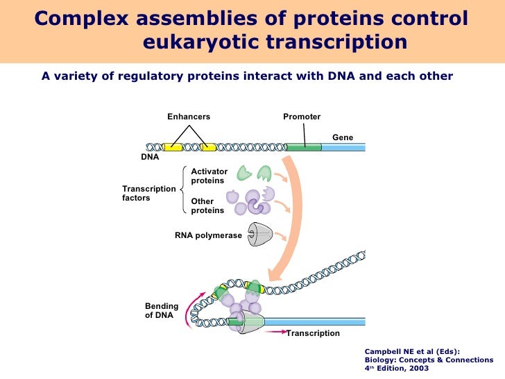 Gene expression