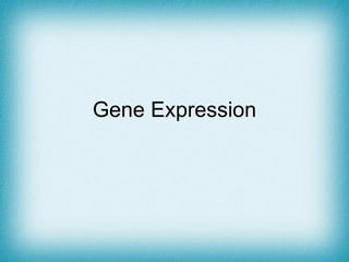 Gene Expression 