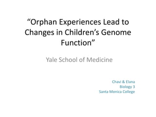 “Orphan Experiences Lead to
Changes in Children’s Genome
          Function”
     Yale School of Medicine


                              Chavi & Elana
                                  Biology 3
                       Santa Monica College
 
