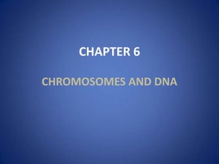 CHAPTER 6

CHROMOSOMES AND DNA
 