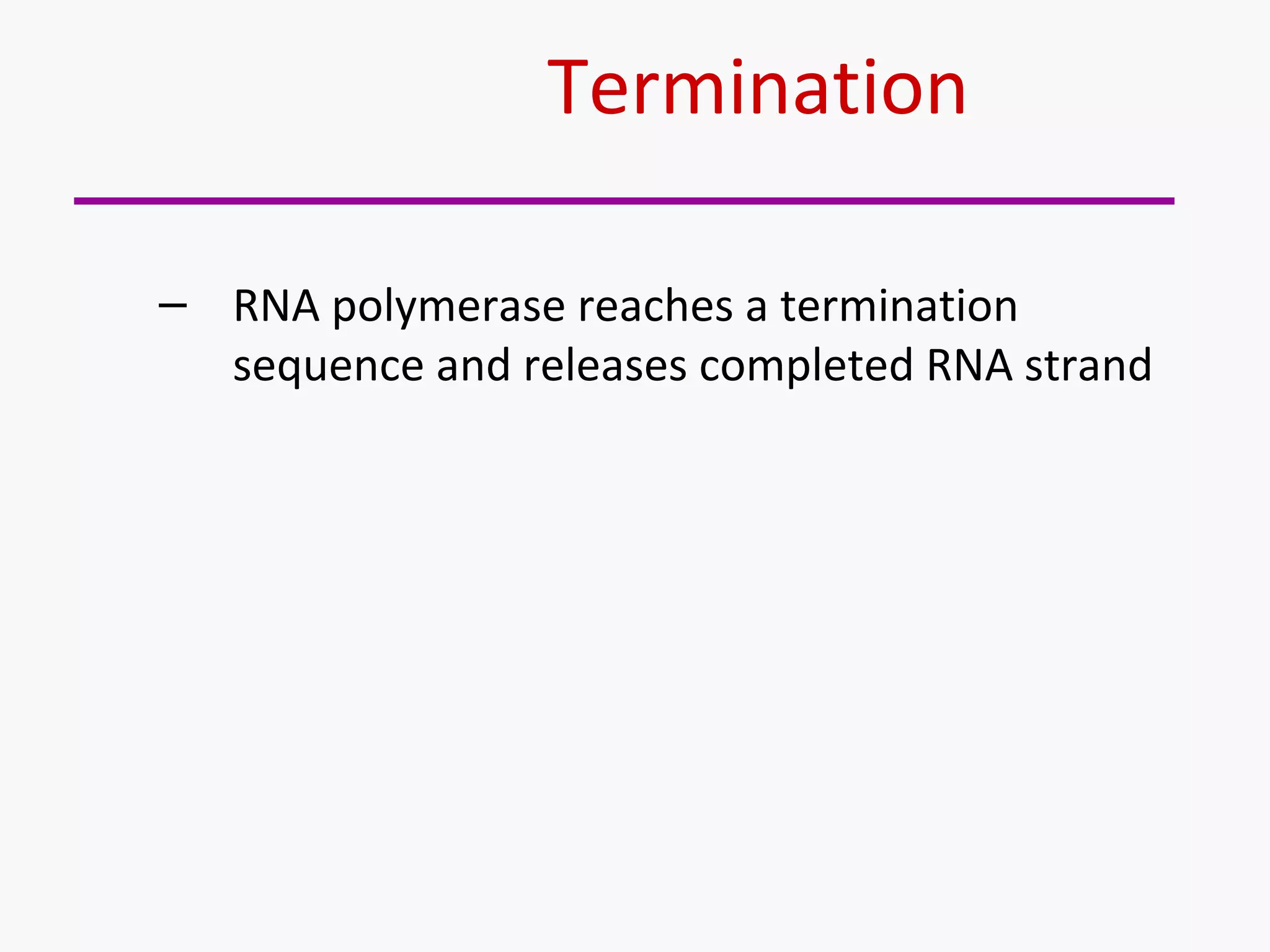 Termination 
– RNA polymerase reaches a termination 
sequence and releases completed RNA strand 
 