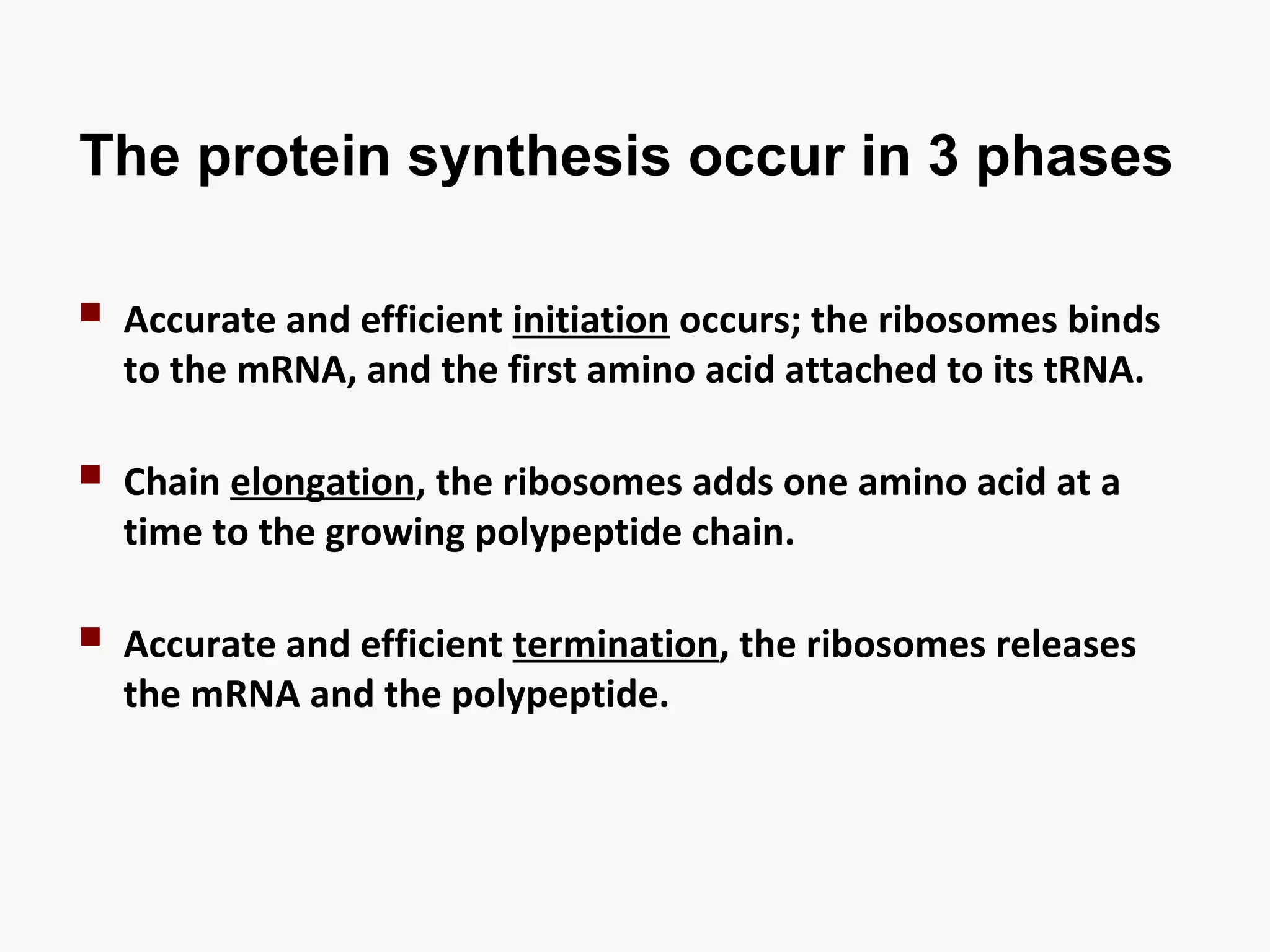 The protein synthesis occur in 3 phases 
 Accurate and efficient initiation occurs; the ribosomes binds 
to the mRNA, and the first amino acid attached to its tRNA. 
 Chain elongation, the ribosomes adds one amino acid at a 
time to the growing polypeptide chain. 
 Accurate and efficient termination, the ribosomes releases 
the mRNA and the polypeptide. 
 