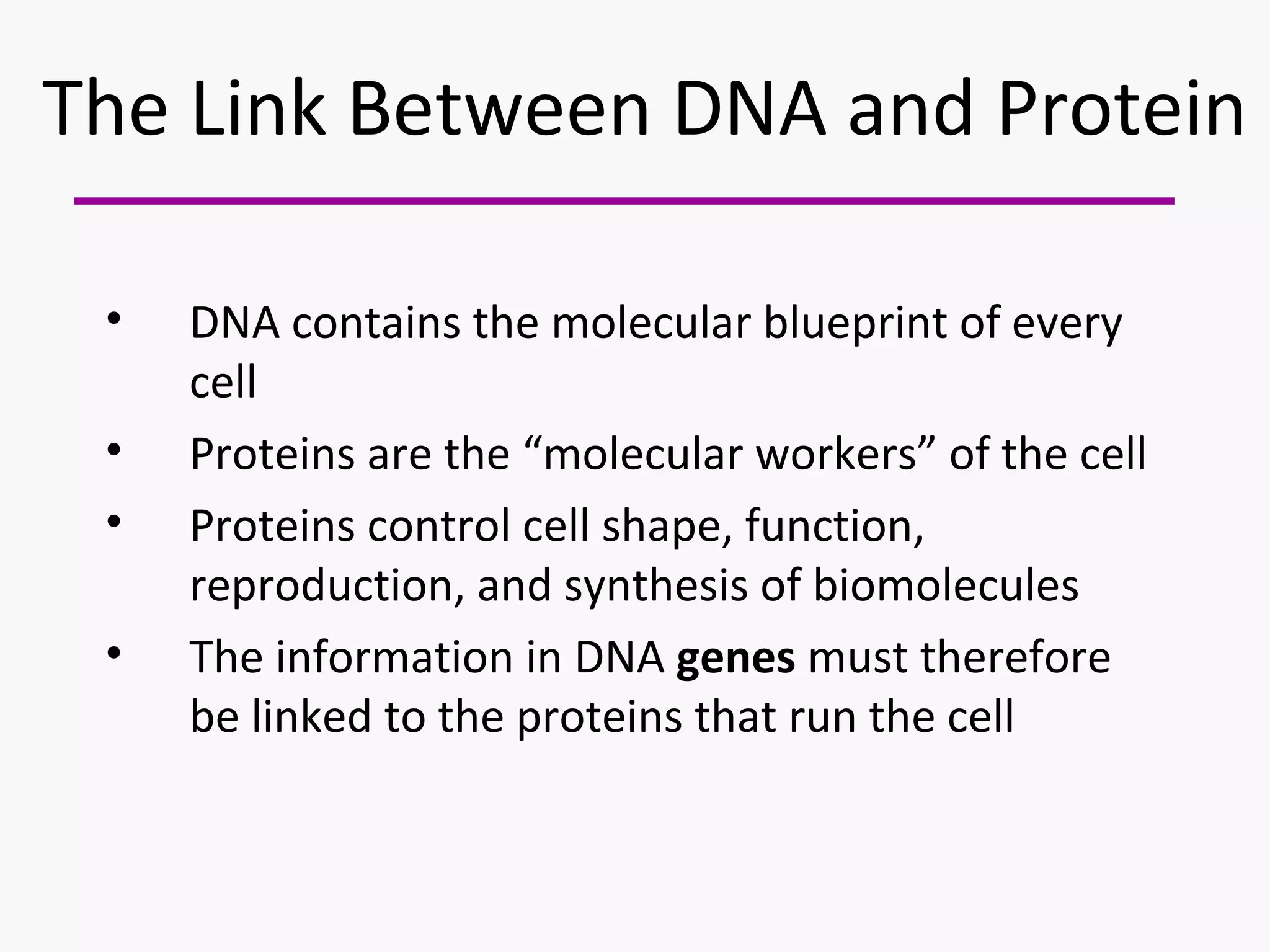 The Link Between DNA and Protein 
• DNA contains the molecular blueprint of every 
cell 
• Proteins are the “molecular workers” of the cell 
• Proteins control cell shape, function, 
reproduction, and synthesis of biomolecules 
• The information in DNA genes must therefore 
be linked to the proteins that run the cell 
 