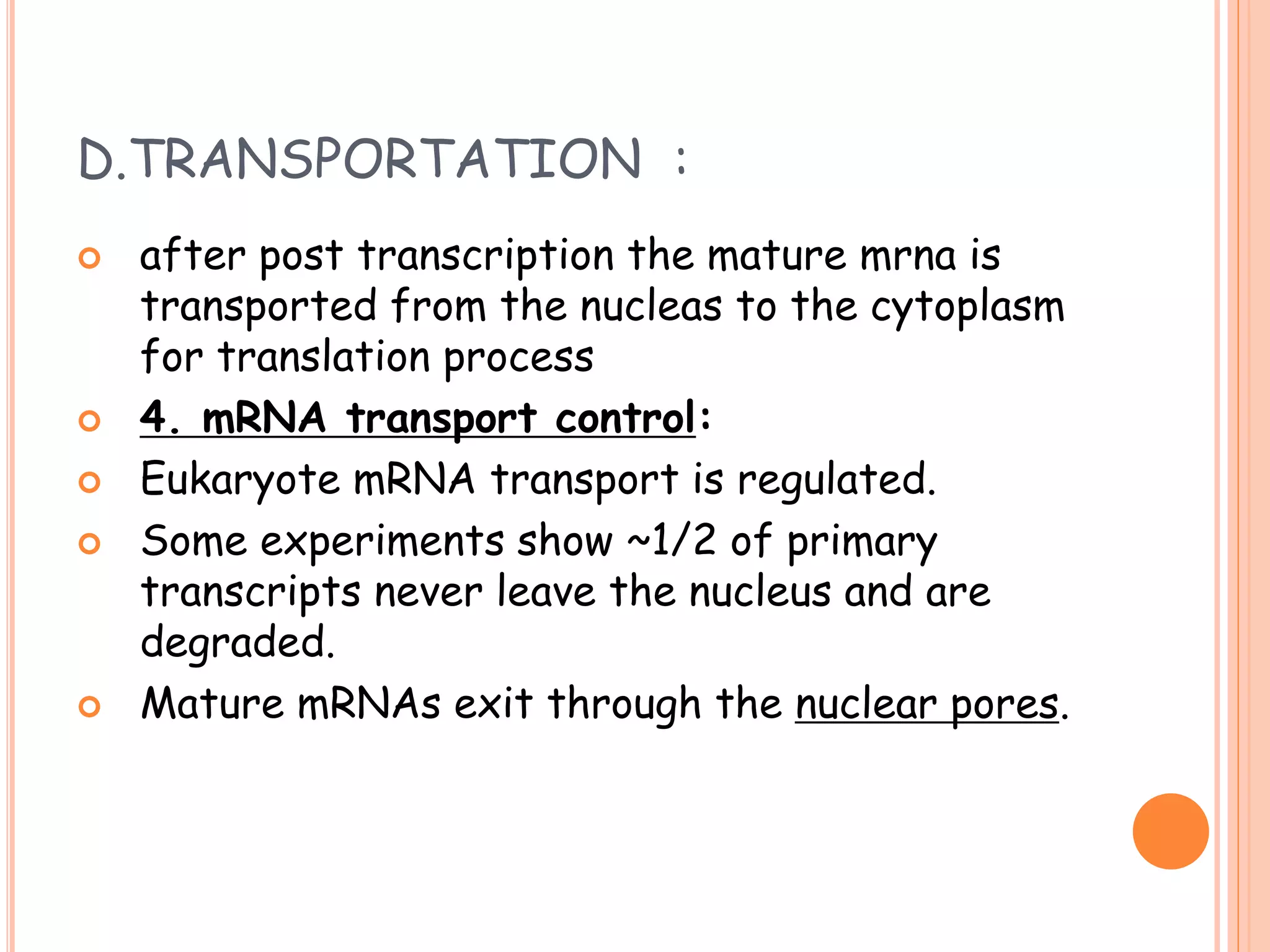 D.TRANSPORTATION :
 after post transcription the mature mrna is
transported from the nucleas to the cytoplasm
for translation process
 4. mRNA transport control:
 Eukaryote mRNA transport is regulated.
 Some experiments show ~1/2 of primary
transcripts never leave the nucleus and are
degraded.
 Mature mRNAs exit through the nuclear pores.
 