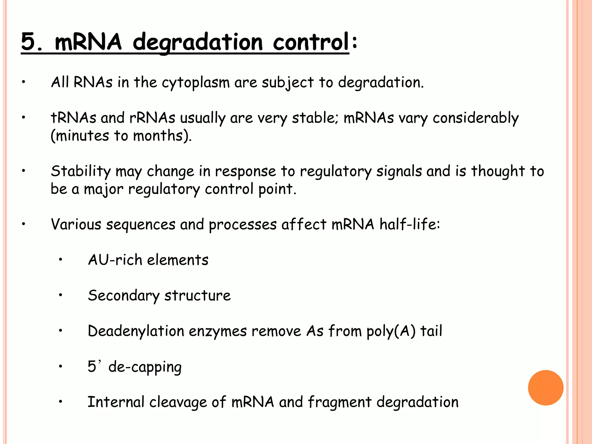 5. mRNA degradation control:
• All RNAs in the cytoplasm are subject to degradation.
• tRNAs and rRNAs usually are very stable; mRNAs vary considerably
(minutes to months).
• Stability may change in response to regulatory signals and is thought to
be a major regulatory control point.
• Various sequences and processes affect mRNA half-life:
• AU-rich elements
• Secondary structure
• Deadenylation enzymes remove As from poly(A) tail
• 5’ de-capping
• Internal cleavage of mRNA and fragment degradation
 