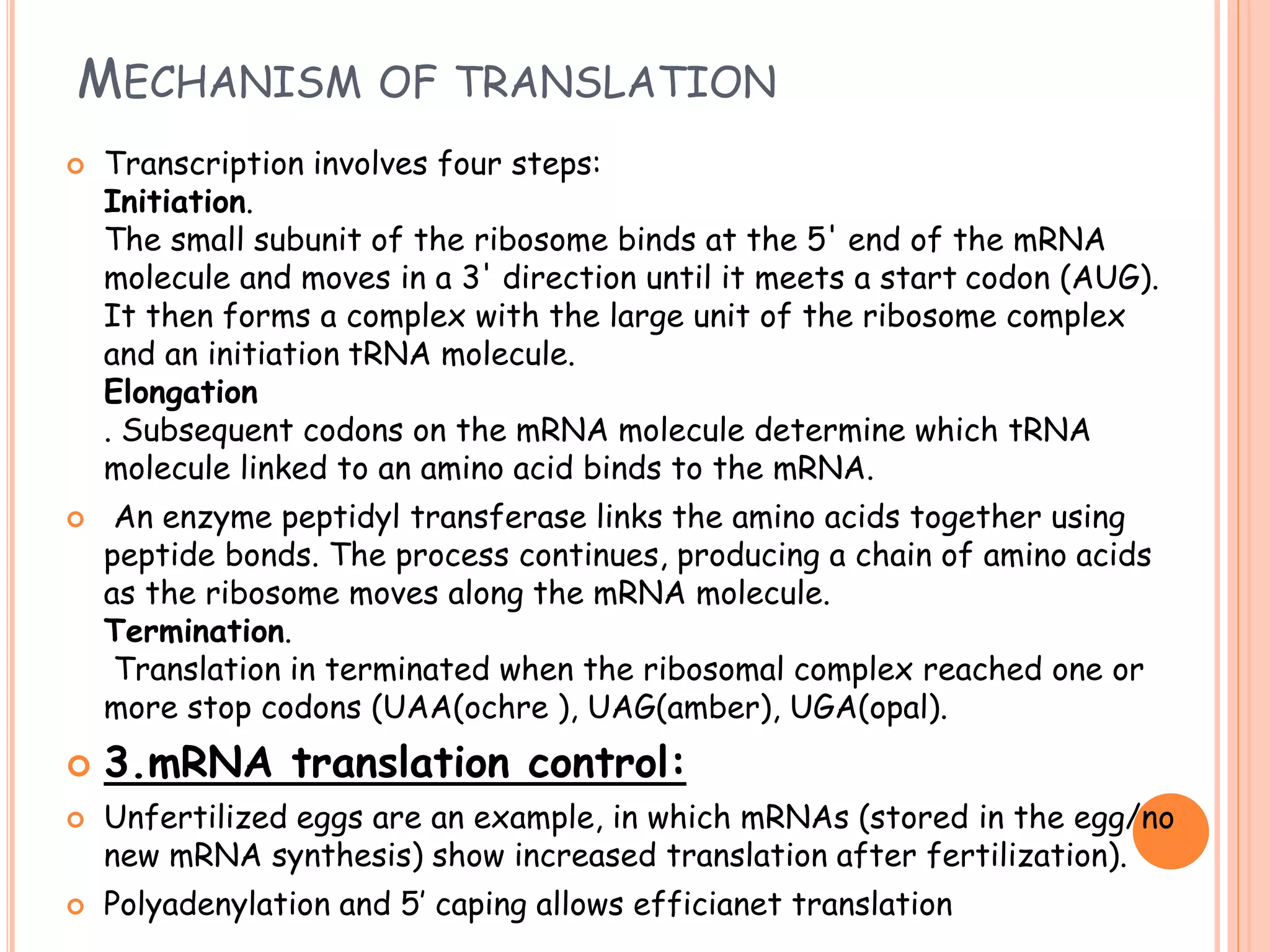 MECHANISM OF TRANSLATION
 Transcription involves four steps:
Initiation.
The small subunit of the ribosome binds at the 5' end of the mRNA
molecule and moves in a 3' direction until it meets a start codon (AUG).
It then forms a complex with the large unit of the ribosome complex
and an initiation tRNA molecule.
Elongation
. Subsequent codons on the mRNA molecule determine which tRNA
molecule linked to an amino acid binds to the mRNA.
 An enzyme peptidyl transferase links the amino acids together using
peptide bonds. The process continues, producing a chain of amino acids
as the ribosome moves along the mRNA molecule.
Termination.
Translation in terminated when the ribosomal complex reached one or
more stop codons (UAA(ochre ), UAG(amber), UGA(opal).
 3.mRNA translation control:
 Unfertilized eggs are an example, in which mRNAs (stored in the egg/no
new mRNA synthesis) show increased translation after fertilization).
 Polyadenylation and 5’ caping allows efficianet translation
 