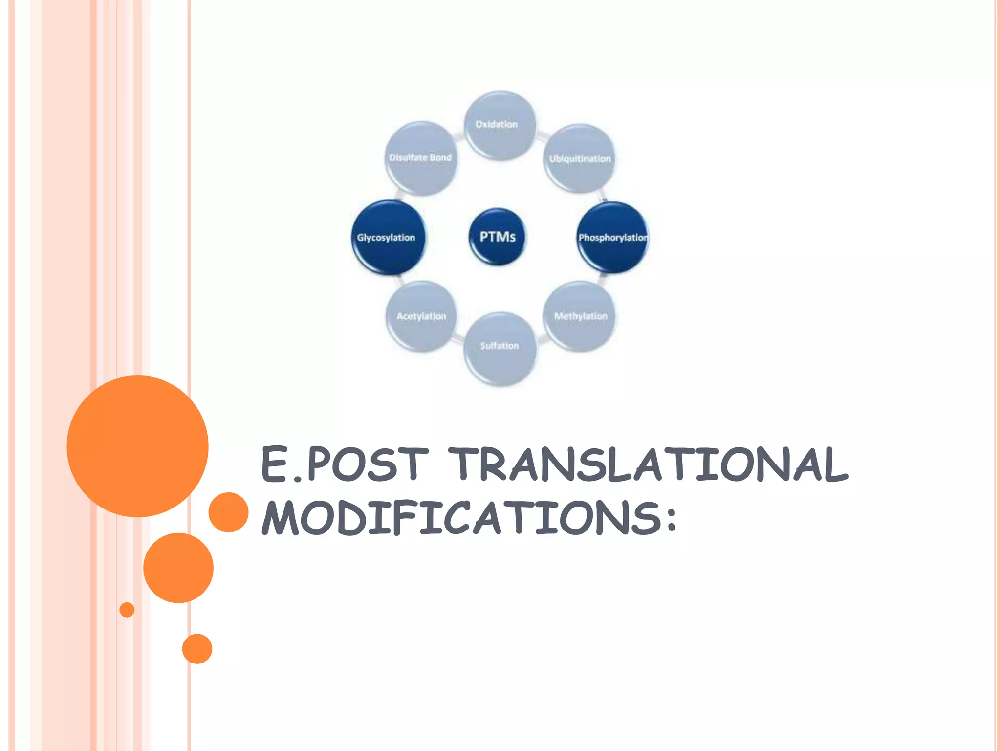 E.POST TRANSLATIONAL
MODIFICATIONS:
 