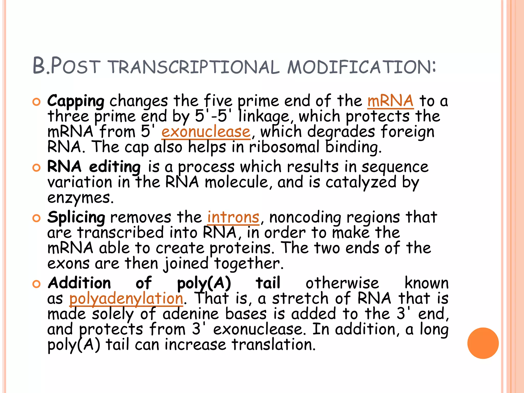 The Unexpected Benefits Of Mastering Gene Expression Translation Pogil - bgk9gi4