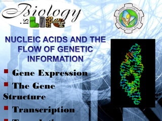  Gene Expression
 The Gene
Structure
 Transcription
 