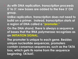 Gene expression: Translation and Transcription | PPT
