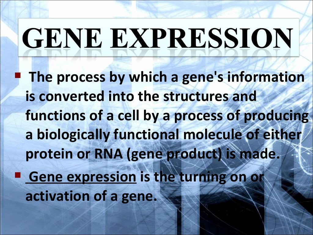 gene expression transcription and translation
