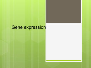 Gene expression
 