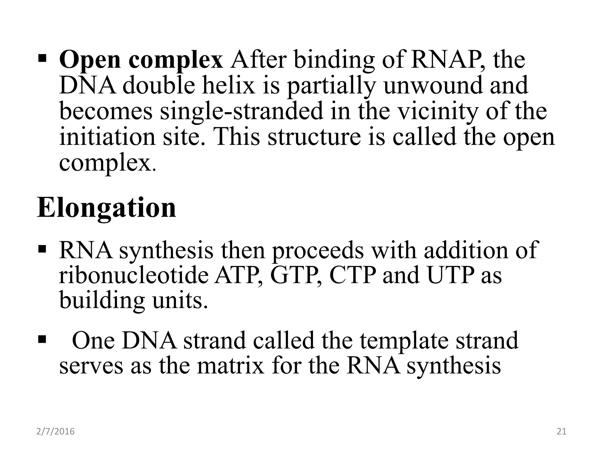  Open complex After binding of RNAP, the
DNA double helix is partially unwound and
becomes single-stranded in the vicinity of the
initiation site. This structure is called the open
complex.
Elongation
 RNA synthesis then proceeds with addition of
ribonucleotide ATP, GTP, CTP and UTP as
building units.
 One DNA strand called the template strand
serves as the matrix for the RNA synthesis
2/7/2016 21
 