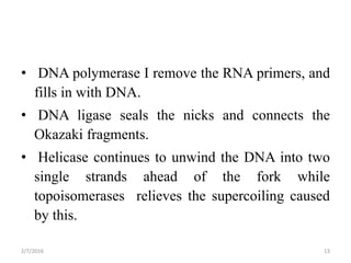 • DNA polymerase I remove the RNA primers, and
fills in with DNA.
• DNA ligase seals the nicks and connects the
Okazaki fragments.
• Helicase continues to unwind the DNA into two
single strands ahead of the fork while
topoisomerases relieves the supercoiling caused
by this.
2/7/2016 13
 