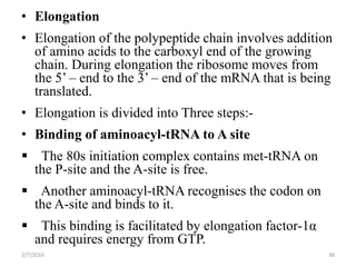 • Elongation
• Elongation of the polypeptide chain involves addition
of amino acids to the carboxyl end of the growing
chain. During elongation the ribosome moves from
the 5’ – end to the 3’ – end of the mRNA that is being
translated.
• Elongation is divided into Three steps:-
• Binding of aminoacyl-tRNA to A site
 The 80s initiation complex contains met-tRNA on
the P-site and the A-site is free.
 Another aminoacyl-tRNA recognises the codon on
the A-site and binds to it.
 This binding is facilitated by elongation factor-1α
and requires energy from GTP.
2/7/2016 36
 