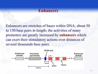 Enhancer Increasing Expression Gene expression | PDF