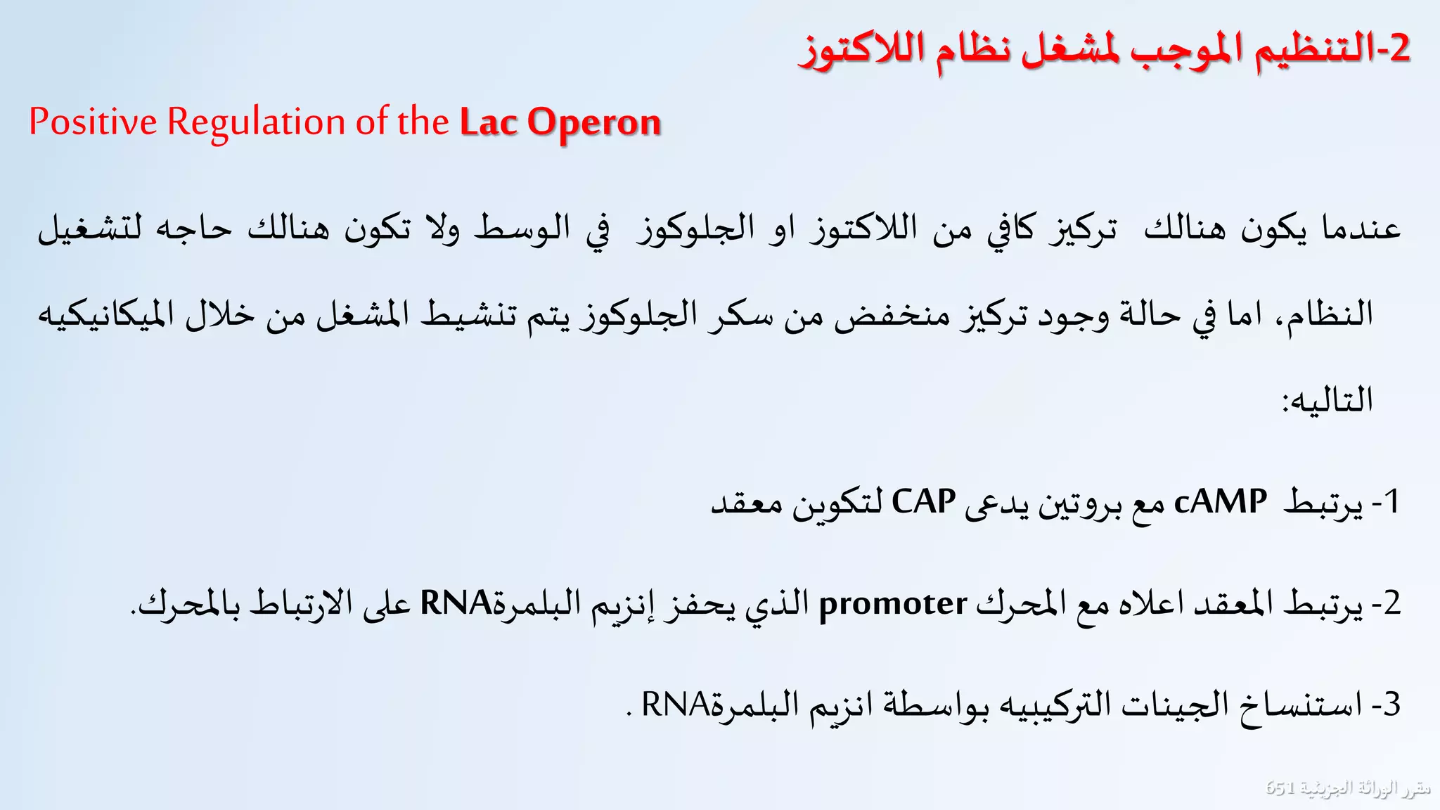 ‫عندما‬‫ن‬‫يكو‬‫هنالك‬‫تركيز‬‫كافي‬‫من‬‫ز‬‫الالكتو‬‫ا‬‫و‬‫ز‬‫الجلوكو‬‫في‬‫الوسط‬‫ول‬‫ن‬‫تكو‬‫هنالك‬‫حاجه‬‫لتشغيل‬
،‫النظام‬‫اما‬‫في‬‫حالة‬‫وجود‬‫تركيز‬‫منخفض‬‫من‬‫سكر‬‫ز‬‫الجلوكو‬‫يتم‬‫تنشيط‬‫املشغل‬‫من‬‫خالل‬‫امليكانيكيه‬
‫التاليه‬:
1-‫يرتبط‬cAMP‫مع‬‫تين‬‫و‬‫بر‬‫يدعى‬CAP‫لتكوين‬‫معقد‬
2-‫يرتبط‬‫املعقد‬‫اعاله‬‫مع‬‫املحرك‬promoter‫الذي‬‫يحفز‬‫إنزيم‬‫البلمرة‬RNA‫على‬‫تباط‬‫ر‬‫ال‬‫باملحرك‬.
3-‫استنساخ‬‫الجينات‬‫التركيبيه‬‫بواسطة‬‫انزيم‬‫البلمرة‬RNA.
2-‫نظام‬ ‫ملشغل‬‫املوجب‬ ‫التنظيم‬‫ز‬‫الالكتو‬
Positive Regulationof the Lac Operon
‫اثة‬‫ر‬‫الو‬‫مقرر‬‫يئية‬‫ز‬‫الج‬651
 