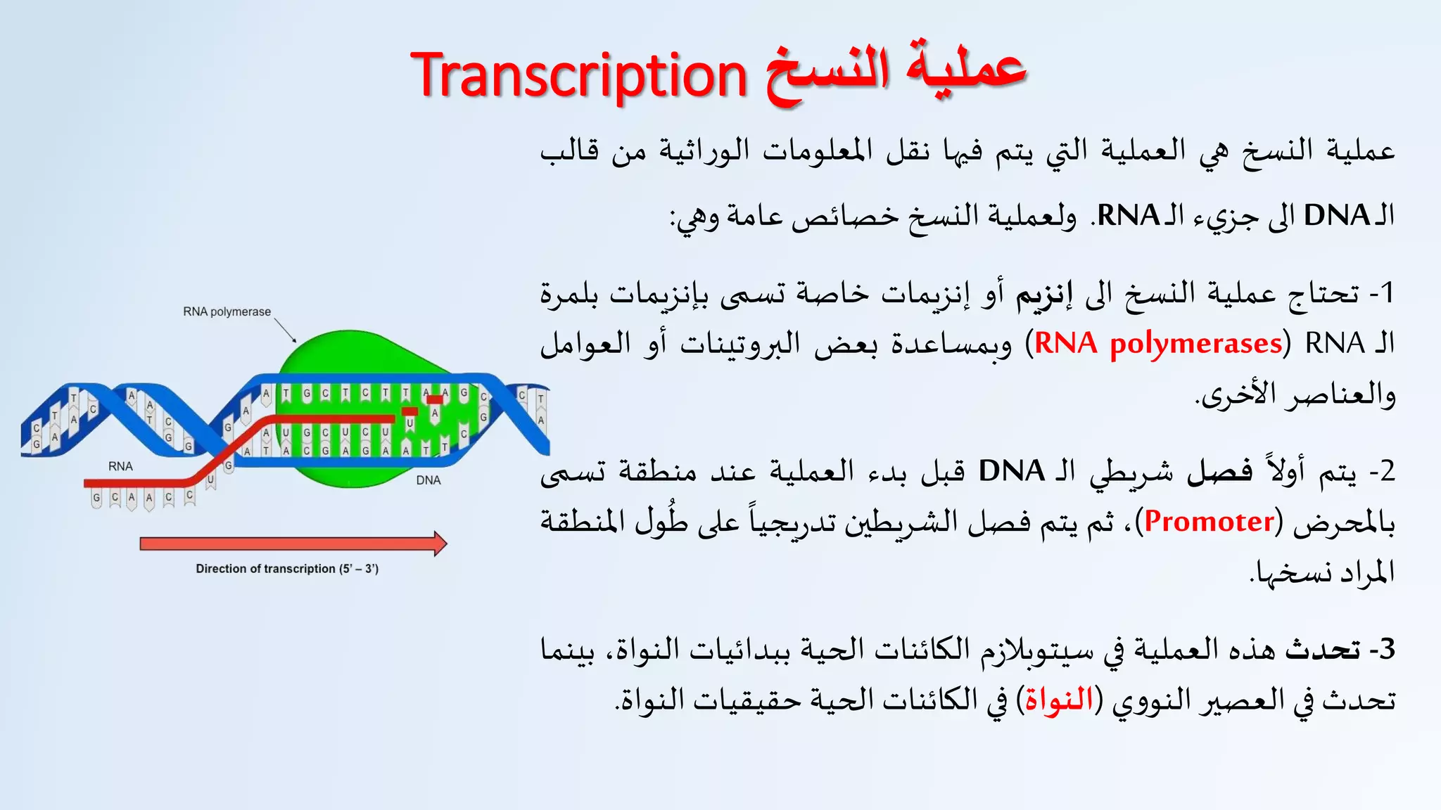 ‫النسخ‬ ‫عملية‬Transcription
‫عملية‬‫النسخ‬‫هي‬‫العملية‬‫التي‬‫يتم‬‫فيها‬‫نقل‬‫املعلومات‬‫اثي‬‫ر‬‫الو‬‫ة‬‫من‬‫قالب‬
‫ـ‬‫ل‬‫ا‬DNA‫الى‬‫ء‬‫ي‬‫جز‬‫ـ‬‫ل‬‫ا‬RNA.‫ولعملية‬‫النسخ‬‫خصائص‬‫عامة‬‫وهي‬:
1-‫تحتاج‬‫عملية‬‫النسخ‬‫الى‬‫إنزيم‬‫أو‬‫إنزيمات‬‫خاصة‬‫تسمى‬‫بإنزيمات‬‫بلمرة‬
‫ـ‬‫ل‬‫ا‬RNA(RNA polymerases)‫وبمساعدة‬‫بعض‬‫البروتينات‬‫أو‬‫العوامل‬
‫والعناصر‬‫ى‬‫األخر‬.
2-‫يتم‬
‫ا‬
‫أول‬‫فصل‬‫شريطي‬‫ـ‬‫ل‬‫ا‬DNA‫قبل‬‫بدء‬‫العملية‬‫عند‬‫منطقة‬‫تسمى‬
‫باملحرض‬(Promoter)،‫ثم‬‫يتم‬‫فصل‬‫الشريطين‬
‫ا‬
‫يجيا‬‫ر‬‫تد‬‫على‬‫ل‬‫و‬
ُ
‫ط‬‫املنطقة‬
‫اد‬‫ر‬‫امل‬‫نسخها‬.
3-‫تحدث‬‫هذه‬‫العملية‬‫في‬‫م‬‫ز‬‫سيتوبال‬‫الكائنات‬‫الحية‬‫ببدائيات‬‫ا‬،‫لنواة‬‫بينما‬
‫تحدث‬‫في‬‫العصير‬‫ي‬‫و‬‫النو‬(‫النواة‬)‫في‬‫الكائنات‬‫الحية‬‫حقيقيات‬‫ال‬‫نواة‬.
 