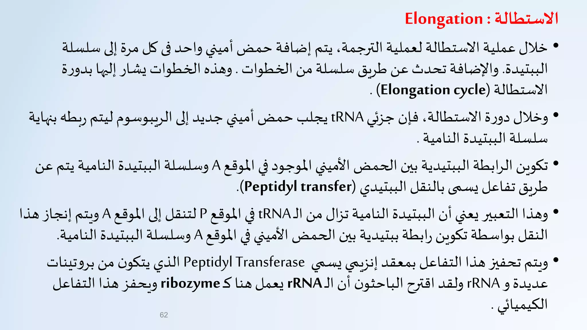 ‫االستطالة‬:Elongation
•‫سل‬ ‫إلى‬ ‫مرة‬ ‫كل‬ ‫فى‬ ‫واحد‬ ‫أميني‬‫حمض‬ ‫إضافة‬ ‫يتم‬ ،‫الترجمة‬‫لعملية‬ ‫الستطالة‬ ‫عملية‬‫خالل‬‫سلة‬
‫الببتيدة‬.‫الخطوات‬ ‫من‬‫سلسلة‬ ‫طريق‬ ‫عن‬‫تحدث‬ ‫واإلضافة‬.‫بدو‬ ‫إليها‬ ‫يشار‬ ‫الخطوات‬‫وهذه‬‫ة‬‫ر‬
‫الستطالة‬(Elongation cycle. )
•‫جزئي‬ ‫فإن‬ ،‫الستطالة‬‫ة‬‫ر‬‫دو‬ ‫وخالل‬tRNA‫بن‬‫بطه‬‫ر‬ ‫ليتم‬ ‫الريبوسوم‬ ‫إلى‬‫جديد‬ ‫أميني‬‫حمض‬ ‫يجلب‬‫هاية‬
‫النامية‬ ‫الببتيدة‬‫سلسلة‬.
•‫املوقع‬ ‫في‬‫املوجود‬ ‫األميني‬ ‫الحمض‬ ‫بين‬ ‫الببتيدية‬ ‫ابطة‬‫ر‬‫ال‬ ‫تكوين‬A‫عن‬ ‫يتم‬ ‫النامية‬ ‫الببتيدة‬‫وسلسلة‬
‫الببتيدي‬ ‫بالنقل‬‫يسمى‬ ‫تفاعل‬ ‫طريق‬(Peptidyl transfer.)
•‫ـ‬‫ل‬‫ا‬ ‫من‬ ‫ال‬‫ز‬‫ت‬ ‫النامية‬ ‫الببتيدة‬ ‫أن‬‫يعني‬ ‫التعبير‬ ‫وهذا‬tRNA‫املوقع‬ ‫في‬P‫املوقع‬ ‫إلى‬ ‫لتنقل‬A‫هذا‬ ‫إنجاز‬ ‫ويتم‬
‫املوقع‬ ‫في‬ ‫األميني‬ ‫الحمض‬ ‫بين‬ ‫ببتيدية‬‫ابطة‬‫ر‬ ‫تكوين‬ ‫بواسطة‬ ‫النقل‬A‫النامية‬ ‫الببتيدة‬‫وسلسلة‬.
•‫يسمي‬ ‫إنزيمي‬ ‫بمعقد‬ ‫التفاعل‬ ‫هذا‬ ‫تحفيز‬ ‫ويتم‬PeptidylTransferase‫تينات‬‫و‬‫بر‬‫من‬ ‫ن‬‫يتكو‬ ‫الذي‬
‫و‬ ‫عديدة‬rRNA‫ـ‬‫ل‬‫ا‬ ‫أن‬ ‫ن‬‫الباحثو‬ ‫اقترح‬ ‫ولقد‬rRNA‫ـ‬‫ك‬ ‫هنا‬‫يعمل‬ribozyme‫التفاعل‬ ‫هذا‬ ‫ويحفز‬
‫الكيميائي‬.62
 