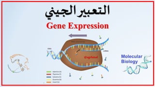 1
‫الجيني‬‫التعبير‬
Gene Expression
@agrfaisal
 