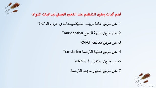 الذرات والعناصر بحث Google Windows Xp Blog Posts Live Usb
