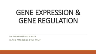 GENE EXPRESSION &
GENE REGULATION
DR. MUHAMMAD ATIF RAZA
M.PHIL PATHOLOGY, DVM, RVMP
 