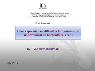Gene expression modification for post-harvest
improvement on horticultural crops
By: FZ.amirmohammadi
May 2017
Post harvest
Ferdowsi university of Mashhad, Iran
Faculty of Agriculture Engineering
 