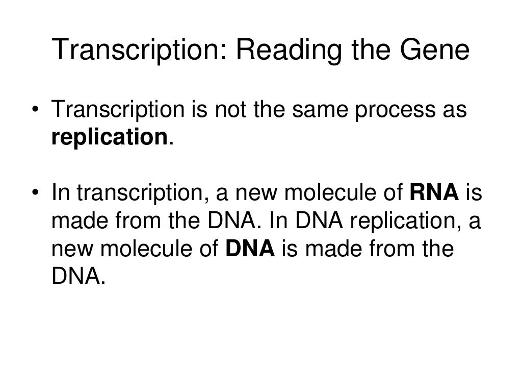gene expression.ppt