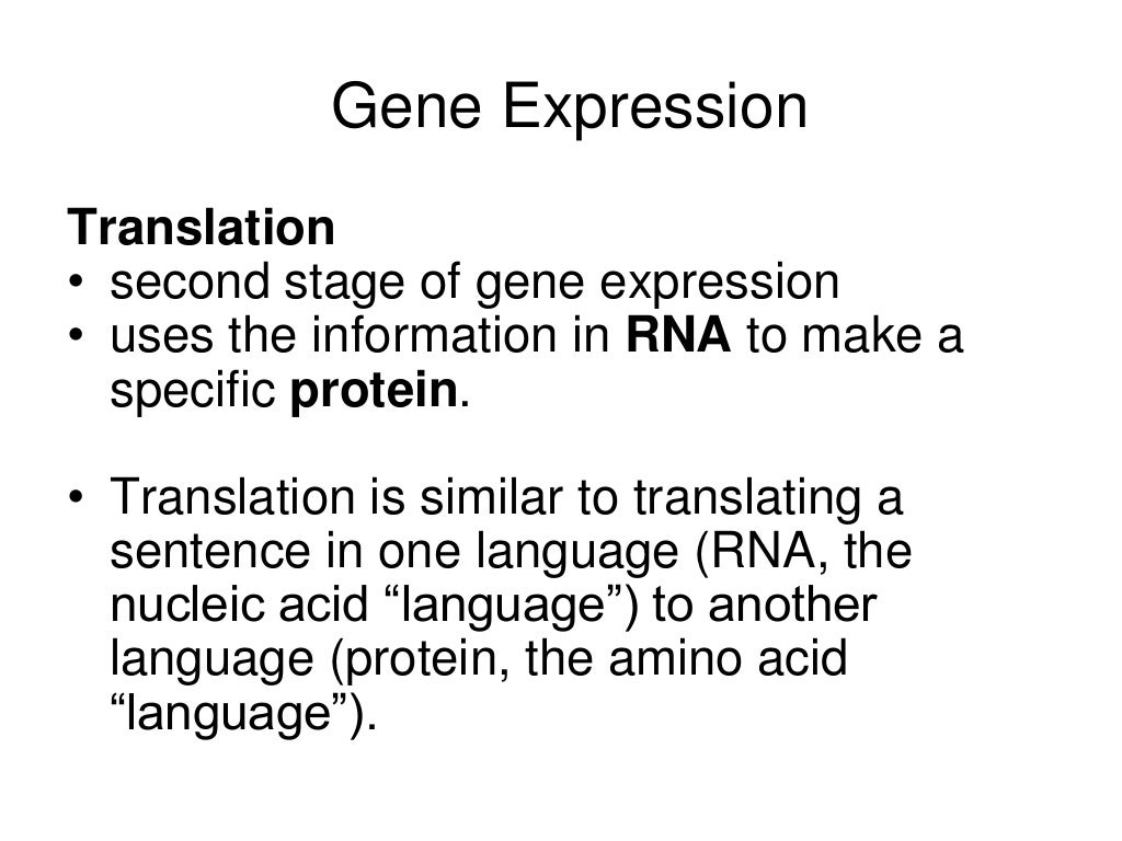gene expression.ppt