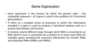 Gene Expression
• Gene expression is the process by which the genetic code – the
nucleotide sequence – of a gene is used i...