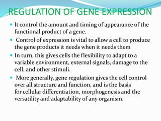 gene expression.pptx