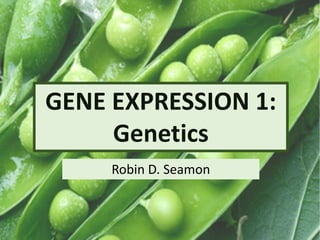 GENE EXPRESSION 1:
Genetics
Robin D. Seamon
 