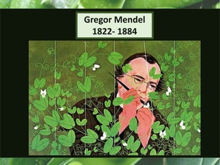 Gregor Mendel
1822- 1884
 