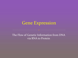 Gene Expression_AA1.ppt
