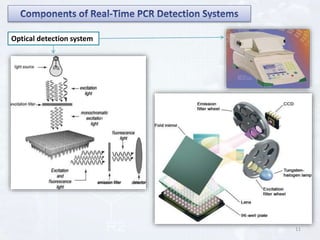 Gene Expression Analysis by Real Time PCR | PPTX