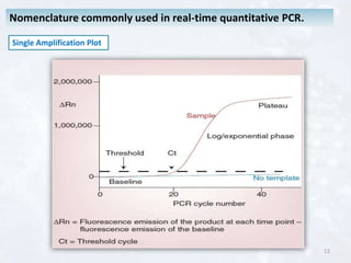 Gene Expression Analysis by Real Time PCR | PPT