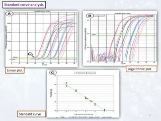 Normalized Pcr Expression Graph Gene Expression Analysis by Real Time PCR | PPTX