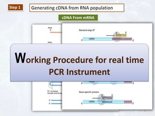 Gene Expression Analysis by Real Time PCR | PPTX