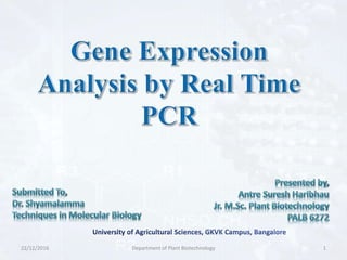 Relative gene expression (± SE) of 18 candidate genes by RT-qPCR