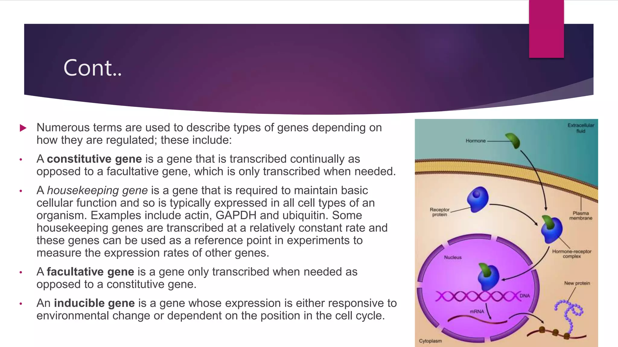 GENE EXPRESSION AND IT’S REGULATION.pptx | Chemistry | Science